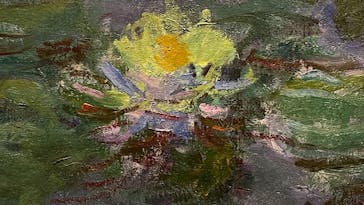 モネ 睡蓮のとき（国立西洋美術館）に投稿された画像（2025/1/31）