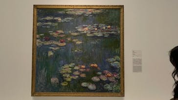 モネ 睡蓮のとき（国立西洋美術館）に投稿された画像（2025/1/31）