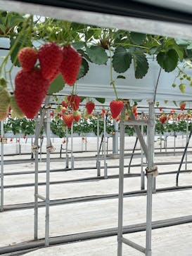 株式会社こまち野に投稿された画像（2025/1/31）