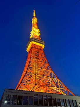 東京タワーに投稿された画像（2025/1/31）