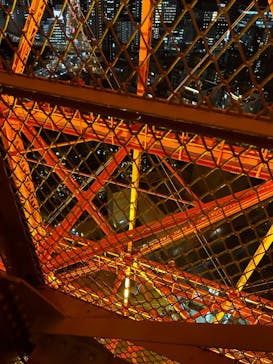 東京タワーに投稿された画像（2025/1/31）