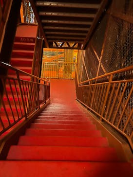 東京タワーに投稿された画像（2025/1/31）