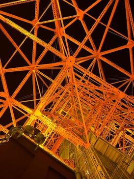 東京タワーに投稿された画像（2025/1/31）