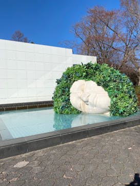 彫刻の森美術館に投稿された画像（2025/1/31）