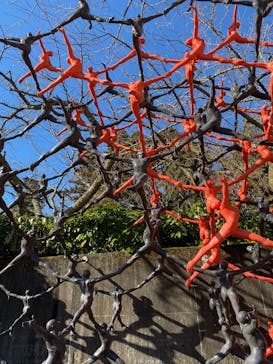 彫刻の森美術館に投稿された画像（2025/1/31）