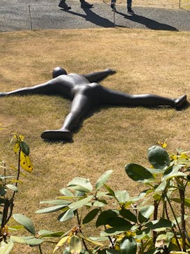 彫刻の森美術館に投稿された画像（2025/1/31）