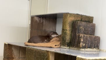 越前松島水族館に投稿された画像（2025/1/31）