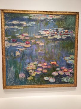 モネ 睡蓮のとき（国立西洋美術館）に投稿された画像（2025/1/31）