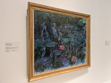 モネ 睡蓮のとき（国立西洋美術館）に投稿された画像（2025/1/31）