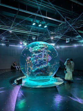 AQUARIUM × ART　atoa×神戸ポートタワーに投稿された画像（2025/1/31）