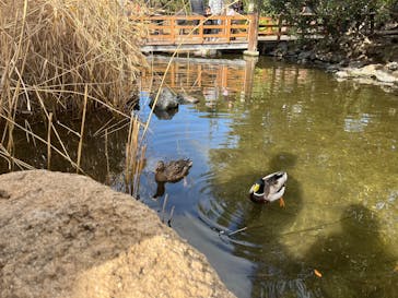 神戸どうぶつ王国に投稿された画像（2025/1/31）