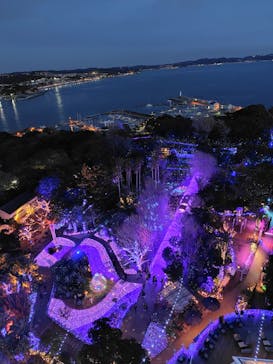 江の島シーキャンドルに投稿された画像（2025/1/31）