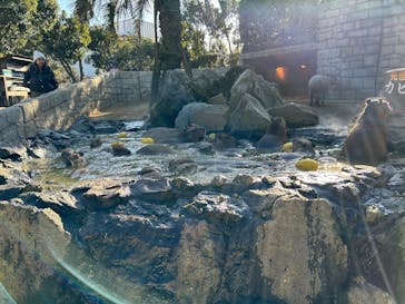 伊豆シャボテン動物公園に投稿された画像（2025/1/31）