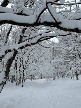 知床ネイチャーガイド星の時間に投稿された画像（2025/1/31）