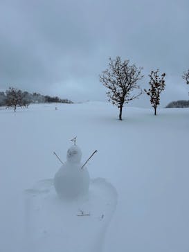 知床ネイチャーガイド星の時間に投稿された画像（2025/1/31）