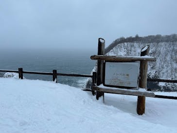 知床ネイチャーガイド星の時間に投稿された画像（2025/1/31）