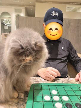 猫カフェモカ　イオンモール高崎店に投稿された画像（2025/1/31）