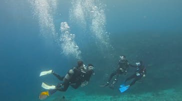 武藤潜水に投稿された画像（2025/2/1）