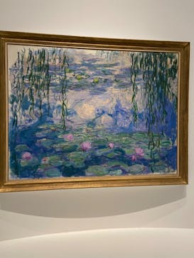 モネ 睡蓮のとき（国立西洋美術館）に投稿された画像（2025/2/1）