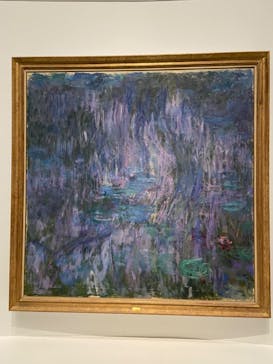 モネ 睡蓮のとき（国立西洋美術館）に投稿された画像（2025/2/1）