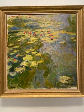モネ 睡蓮のとき（国立西洋美術館）に投稿された画像（2025/2/1）