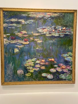 モネ 睡蓮のとき（国立西洋美術館）に投稿された画像（2025/2/1）