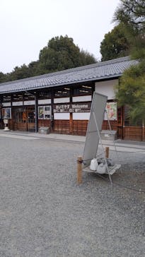 元離宮二条城に投稿された画像（2025/2/1）