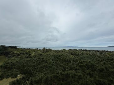 石垣やいま村に投稿された画像（2025/2/1）