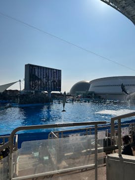 名古屋港水族館に投稿された画像（2025/2/1）