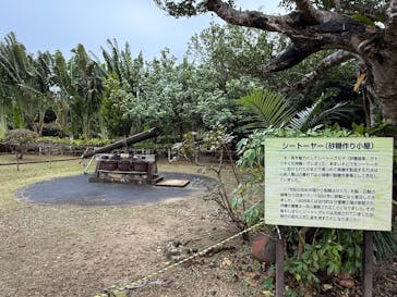 石垣やいま村に投稿された画像（2025/2/1）