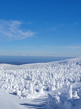 蔵王ロープウェイに投稿された画像（2025/2/1）