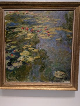 モネ 睡蓮のとき（国立西洋美術館）に投稿された画像（2025/2/1）