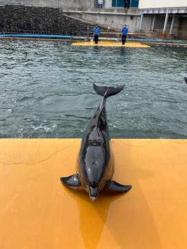 越前松島水族館に投稿された画像（2025/2/1）