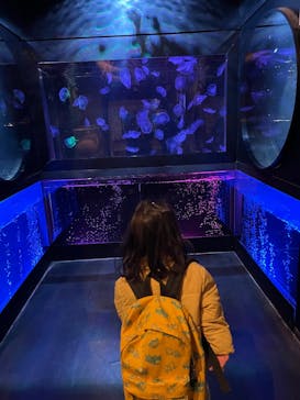 越前松島水族館に投稿された画像（2025/2/1）