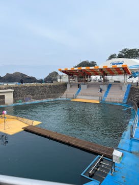 越前松島水族館に投稿された画像（2025/2/1）