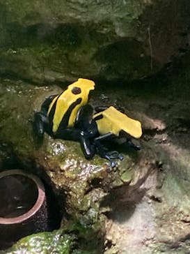 サンシャイン水族館に投稿された画像（2025/2/1）