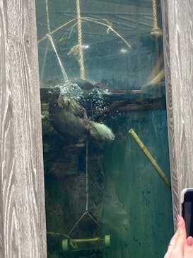 サンシャイン水族館に投稿された画像（2025/2/1）