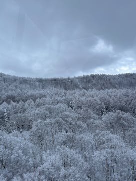 蔵王ロープウェイに投稿された画像（2025/2/1）