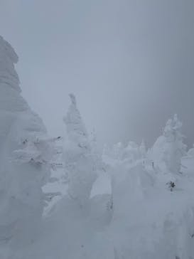 蔵王ロープウェイに投稿された画像（2025/2/1）