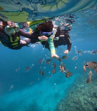 沖縄マリンサービス碧に投稿された画像（2025/2/1）