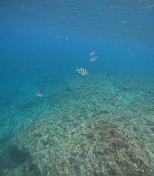 沖縄マリンサービス碧に投稿された画像（2025/2/1）