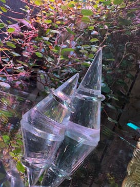 impera accessory（インペラアクセサリー）に投稿された画像（2025/2/1）