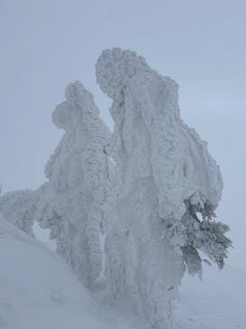 阿仁スキー場に投稿された画像（2025/2/1）