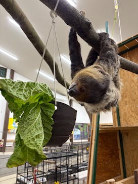 しろとり動物園に投稿された画像（2025/2/1）