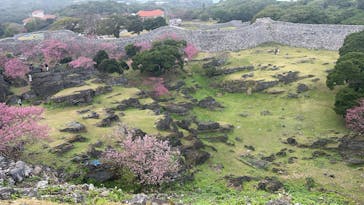 今帰仁城跡に投稿された画像（2025/2/1）