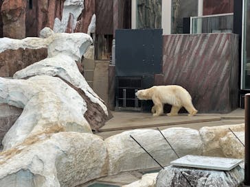 恩賜上野動物園に投稿された画像（2025/2/1）