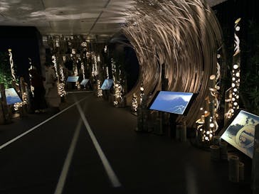 HOKUSAI : ANOTHER STORY in TOKYOに投稿された画像（2025/2/1）