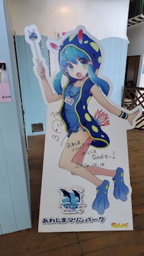 あわしまマリンパークに投稿された画像（2025/2/1）