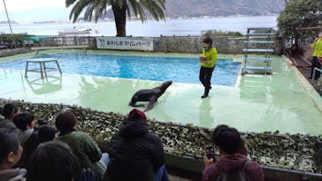 あわしまマリンパークに投稿された画像（2025/2/1）