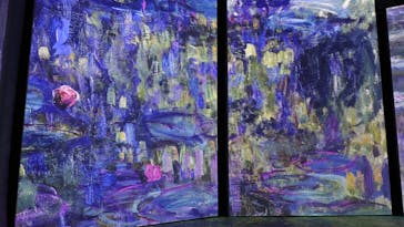 「モネ＆フレンズ・アライブ」神戸展に投稿された画像（2025/2/1）